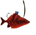 Рыбка на экране